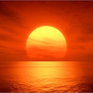 Meet your Posher, Tom